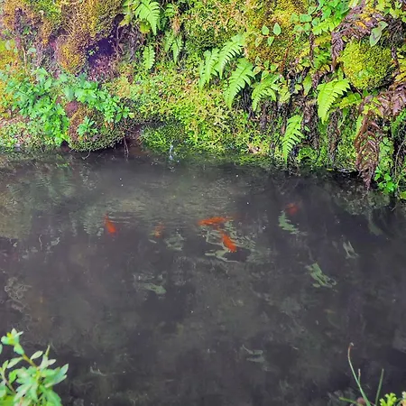 Vale 2* Furnas (Azores)