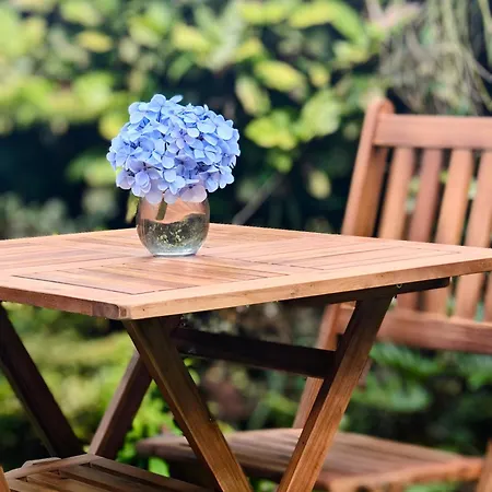 Vale Furnas (Azores)