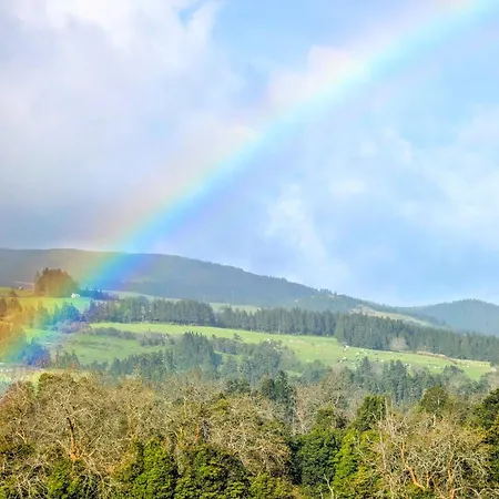 Vale Hotel Furnas (Azores)