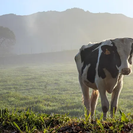 酒店 淡水河谷豪园酒店 富尔纳斯