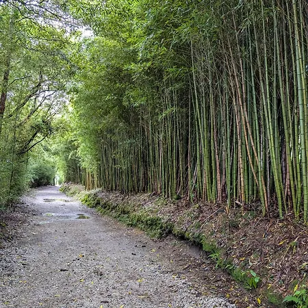 酒店 淡水河谷豪园酒店 2*