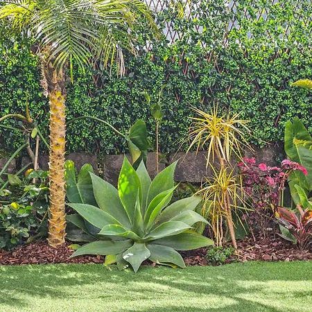 淡水河谷豪园酒店 酒店 富尔纳斯