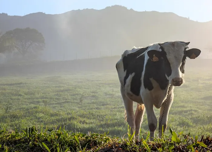 Ξενοδοχείο Vale Furnas (Azores)