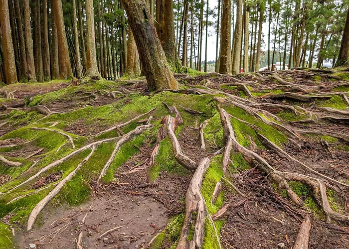 Ξενοδοχείο Vale 2*