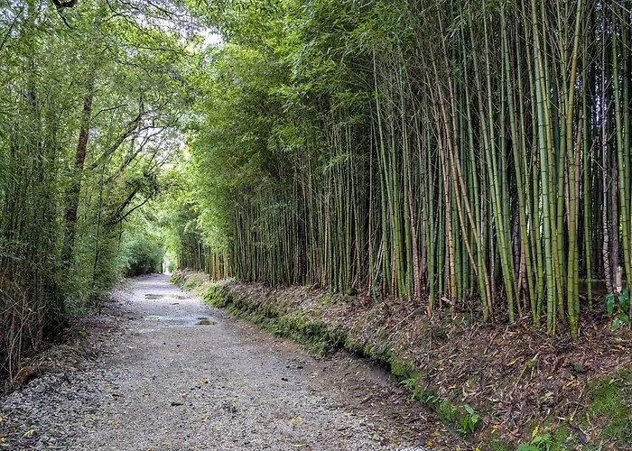 Ξενοδοχείο Vale 2*