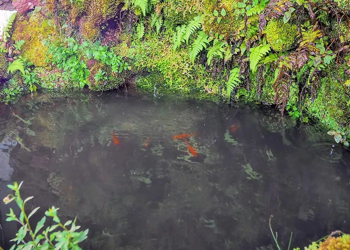 Vale 2* Furnas (Azores)