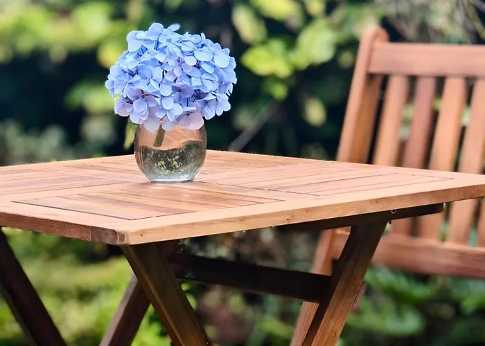 Vale Furnas (Azores)